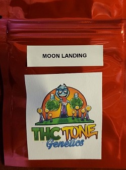 Moon Landing 3 Fem Autos. $25 Free shipping in 🇺🇸