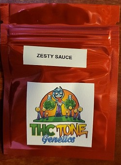 Zesty Sauce 3 Fem Autos. $25 Free shipping in 🇺🇸
